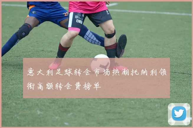 意大利足球转会市场热潮托纳利领衔高额转会费榜单