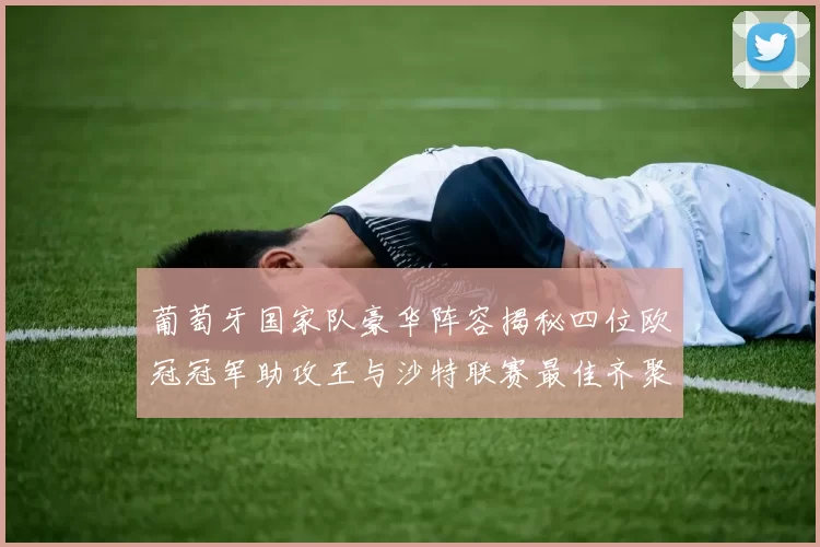 葡萄牙国家队豪华阵容揭秘四位欧冠冠军助攻王与沙特联赛最佳齐聚一堂