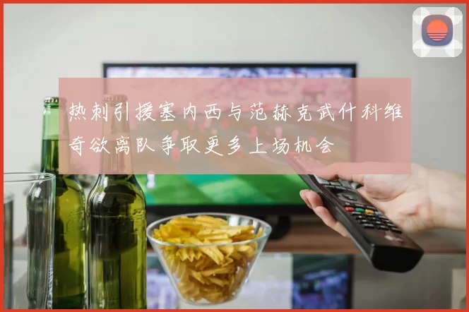 热刺引援塞内西与范赫克武什科维奇欲离队争取更多上场机会